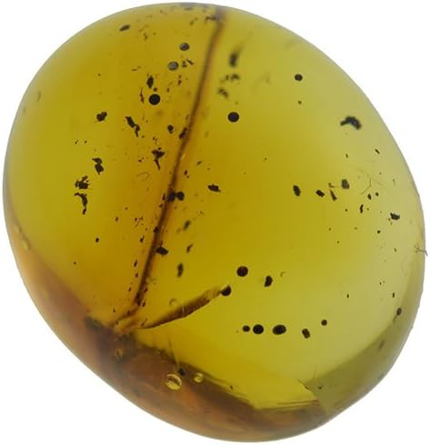 Gem gemstone DOMINICAN REP. NATURAL AMBER in CABOCHON OVAL 4.80ct. 15x12mm.