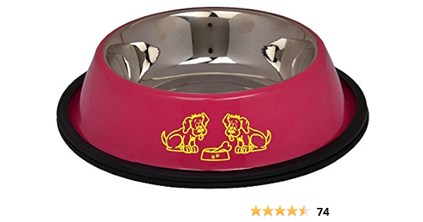 plain white dog bowl