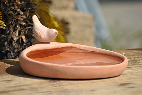 Vogelbad,Vogeltränke,Terracotta,mit kleinem Vogel,29cm - 4
