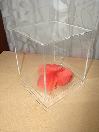 5 sided Clear Acrylic Perfect Box Cube Display Case with Acrylic Base Lid (500mm x 500mm x 500mm)