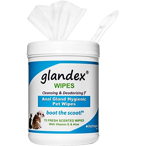 Glandex toallitas húmedas para limpiar y desodorizar - toallitas frescas de 75 cuentas