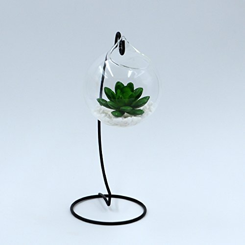 hodgea Creative zum Aufhängen Glas Kugel Vase Transparent Kultur Blume Home Hochzeit Dekoration, Glas, style 2 - 3