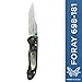 Produktbild Benchmade 698-181 Foray Gold, Axis Nr. 329
