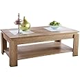Canyon Oak Modern Contemporary Design Coffee Table With Undershelf
