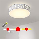 WHKHY Stufenlos dimmbare Deckenleuchte, Moderne Küche a Balkon mit einfachen Schlafzimmern, Lobby, Esszimmer, Leselampe Lampe LED Lampenzyklus, Beleuchtung, B, 40 cm,B,50 cm