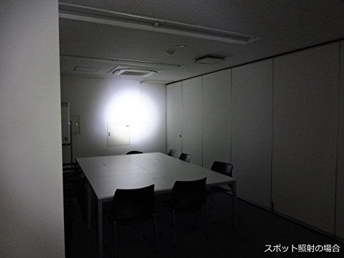 Walther Pro PL80 - 2