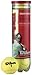 Produktbild Neu Wilson Meisterschaft Bälle Lang Tennis Outdoor Sport Bälle Schlauch Von 4