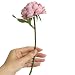 Produktbild happy event Unechte Blumen | Künstliche Deko Blumen Gefälschte Blumen Blumenstrauß | Rose Für Braut Hochzeitsblumenstrauß für Haus Garten Party Blumenschmuck | Artificial Flowers (Pink)