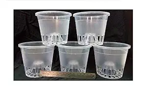 Clear/Transparent Plastic pots for Orchids Dia 5 (Pack of 5)