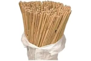 BHGS 5ft Garden Canes pack of 10 Plant Support Stakes