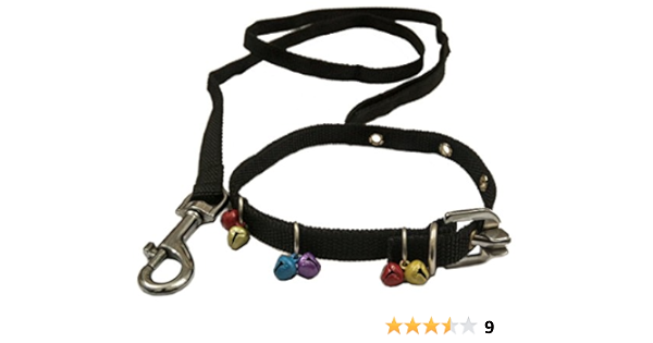 puppy belt amazon