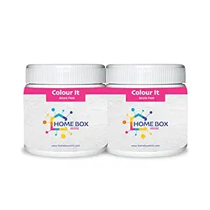 HOME BOX mini Colour It White Acrylic Paint,100 g, Pack of 2