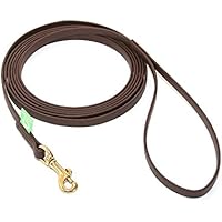 [Gesponsert]5m braune Hundeleine, kleine Hunde & Welpen | Biothane | geprüft 100kg | Handschlaufe | vernäht, Messingkarabinerchen