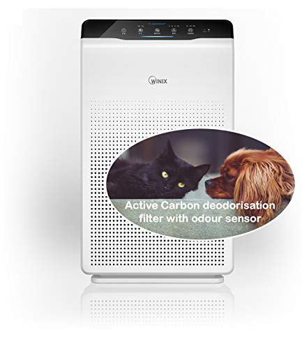 Winix Purificateur d'air 2020EU (taille maximale de la salle de 77 m², filtre HEPA, filtre à charbon actif, onde Plasma, contre les allergies, fumée, pellicules d'animaux, poussière fine, pollen)