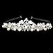 WINOMO Rhinestone Faux Pearl Decorated Wedding Bridal Hair Barrettes, Hairband, Hair Clip, Hair Loop, Tiara (Sliver)