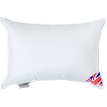 HOMESCAPES Coussin De Remplissage Microfibre Ultra-Doux 35x35 Cm - 100% Made In UK