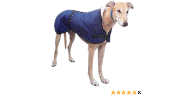 greyhound coats amazon