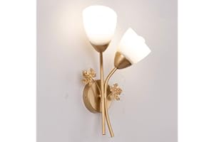 Mengjay Creativo Applique da Parete Moderna, Illuminazione Vintage Interno per Casa, Camera da Letto, Cucina, Bar, Caffè, Ristorante (Doppia Testa)