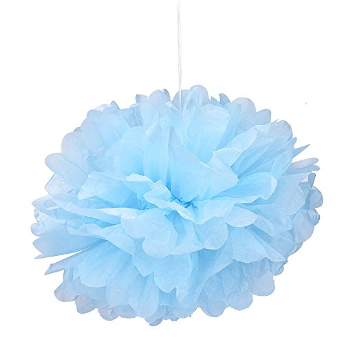 eBoot Seidenpapier Pom Poms PomPoms Blume für Hochzeit Dekoration Party Deko, 10 Zoll, 9 Stück - 5