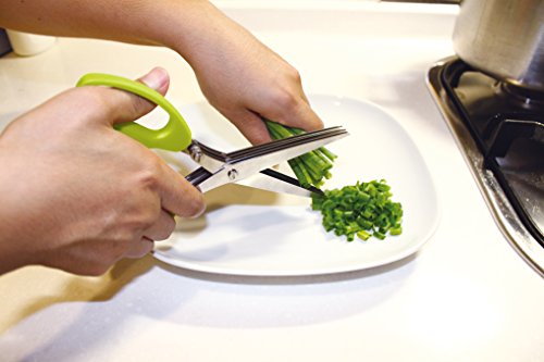 Fackelmann 48125 Kräuterschere 19 cm, 10 Klingen - 3