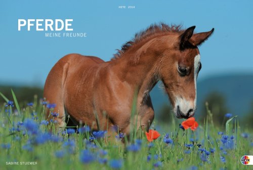 Pferde. Meine Freunde 2014