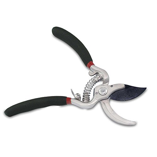 Gartenschere / SKS 6 Tradition Rosenscheren-und Gehölzschere / Original S.Kunde & Sohn Germany / NEU seit 01.03.2017 - 3