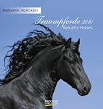 Traumpferde 2010: Postkartenkalender by 