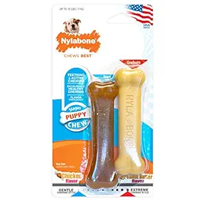 Nylabone Just For Puppies Peanut Butter and Chicken Flavored bone Puppy Dog Chew Toy, Twin Pack
