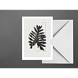 Postkarte / ABC Plants – M