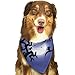Produktbild Wfispiy Hund Bandana Haustier Schal Halloween Scary Night Classic Pet Bandana Haustier Halsbänder für Hund Katze eine Größe
