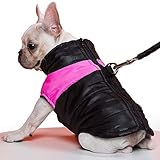 prager rattler wesen ♥ LEASH HOLE: TFENG Vest kommt mit D-RING auf der Rückseite des Halses, so dass Sie ganz einfach befestigen Sie die Blei auf Kragen ohne Ziehen der Mantel in Richtung der Rückseite des Hundes.