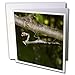Produktbild 3drose betend Mantis – Grußkarten, 15,2 x 15,2 cm, Set 12 (GC _ 36701 _ 2)