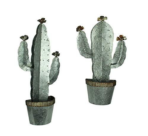 Gerson - Juego de 2 macetas Colgantes de Cactus de Metal galvanizado para decoración del suroeste