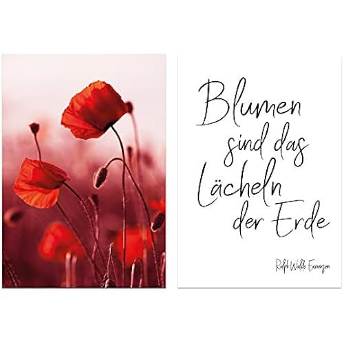 Suchergebnis auf Amazon.de für blumen sind das laecheln der erde