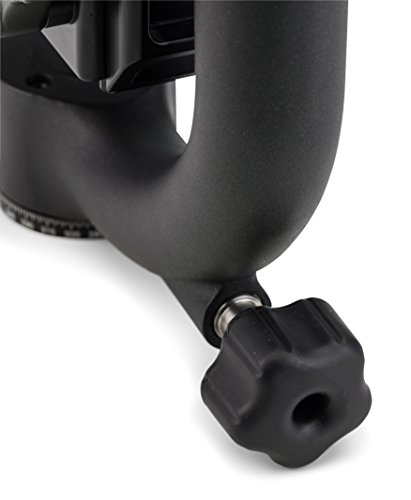 Benro GH2 - Trípode Gimbal HD Magnesium PL 100, Color Negro