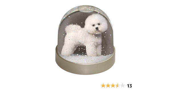 Bichon Frise Photo Snow Globe Waterball Advanta Group Amazon Co Uk Home Kitchen