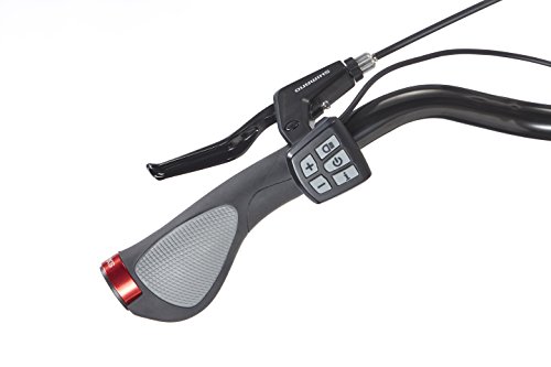 FISCHER E-Bike CITY ECU 1720, Mittelmotor 48 V/422 Wh und Rücktritt „Powered by BAFANG“ - 14