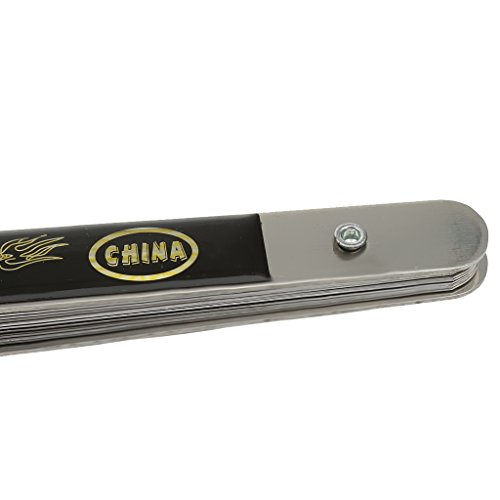 Chinesische Kung Fu Tai Chi Drachen Fan Fächer - 2