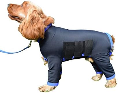 Belvoir Rug Company Dog Onesie All in One Dog Cover Coat in Nylon Lycra - For Dirty Dogs, Shedding or After Surgery - Black with Turquoise Binding (S (15" Collar/Tail for dogs 14"-16"))