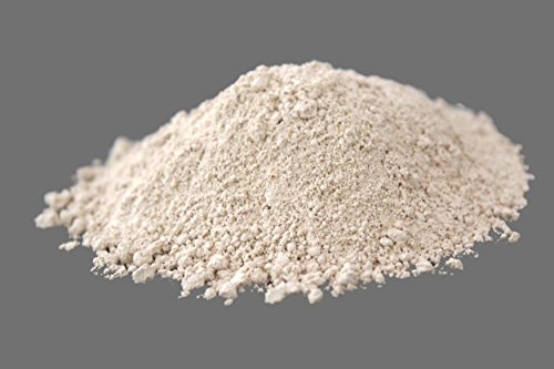 Boden-Vital 100 g – Endomykorrhiza-Pilze und Bodenbakterien zur Pflanzenstärkung und Vitalisierung des Bodens - 2