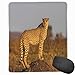 Produktbild Mouse Mat Stitched Edges, African Wild Animal Cheetah Standing On Termite Mound Savannah Nature View,Gaming Mouse Pad Non-Slip Rubber Base