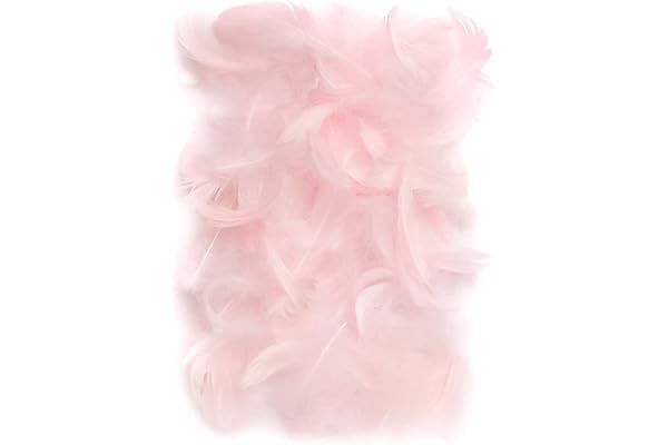Netuno 150 plumes naturelles roses 10g plumes décoratives d'oiseaux pour loisirs créatifs DIY bricolage décorations de fêtes attrape-rêves fabrication de masques