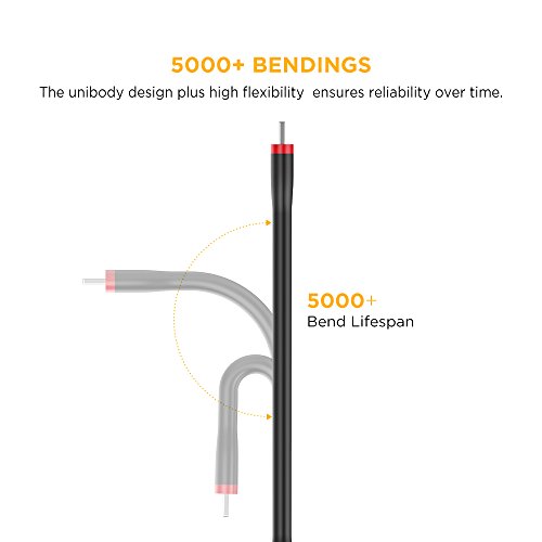 [Apple MFi Zertifiziert] EasyAcc PocketLine Lightning zu USB Kabel 15cm Lade und Datenkabel im Unibody Design für iPhone 7,7 Plus, 6s, 6s Plus, 6, 6 Plus, 5s, 5c, 5, iPad Air, Air 2, iPad Mini, Mini 2, Mini 3, iPad 4 Gen, iPod Touch 5 Gen und iPod Nano 7 Gen, Schwarz - 5