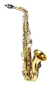 Alto Saxophone Gold Polish with Hard Case (Golden)