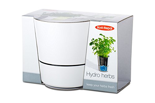 Rosti Mepal Hydro Kräutertopf, Groß, Weiß - 3