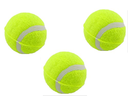 Viskey-Dog-Pet-Training-Game-Toys