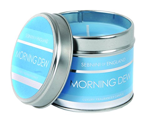 Preisvergleich Produktbild sebnini Standard Duftkerze Morning Dew