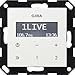 Gira 228403 Unterputz-Radio RDS ohne Lautsprecher ST55, reinweiß-glänzend