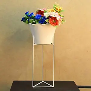 HINS 12 Inch Lotus Pot With Iron Metal White Long Stand For Indoor & Outdoor Gardening Home Decore (White Stand With White Pot) I Plant Stands For Indoor Balcony I Plant Bench I Plant Stands I Pot Stand Single I Potted Plant Stand I Big Pots I Metal Plant Stand I Tall Outdoor Planter I Metal Casters I Large Plant Stand I Pot Stands For Garden I Indoor Plants Stand I Iron Plant Stand I Terrace Garden Stand I Garden Rack I Iron Stand For Pots I Pots Stand I Indoo