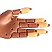 Artificial Acrylic Fake Nail Trainer Practice Manicure Hand Model with 100pcs Nail Tips